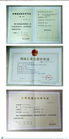 《山貓吉咪》應(yīng)急知識(shí)宣傳片 動(dòng)漫魅力點(diǎn)亮公眾安全意識(shí)